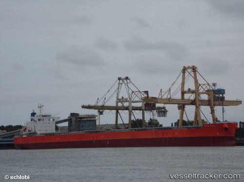 vessel Cetus Ocean IMO: 9643154, Bulk Carrier
