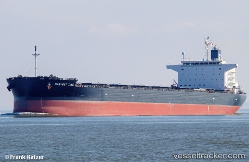 vessel Harvest Time IMO: 9643881, Bulk Carrier
