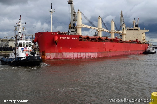 vessel Federal Tambo IMO: 9644495, Bulk Carrier
