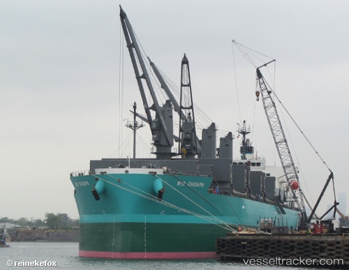 vessel Rio Choapa IMO: 9644550, Bulk Carrier

