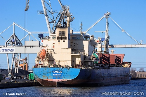 vessel Amelie IMO: 9647289, Bulk Carrier
