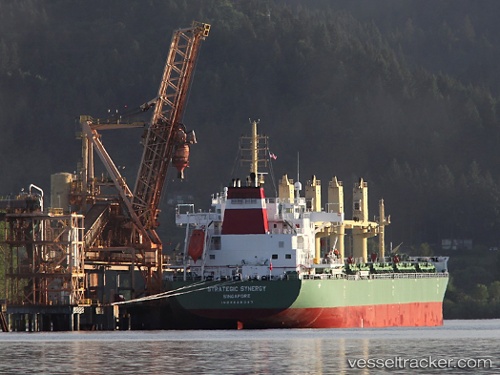 vessel Strategic Synergy IMO: 9648087, Bulk Carrier
