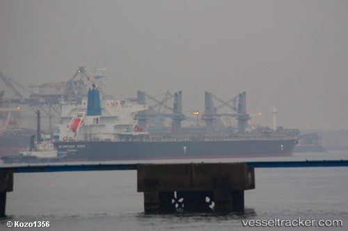 vessel TELERI M IMO: 9648867, Bulk Carrier