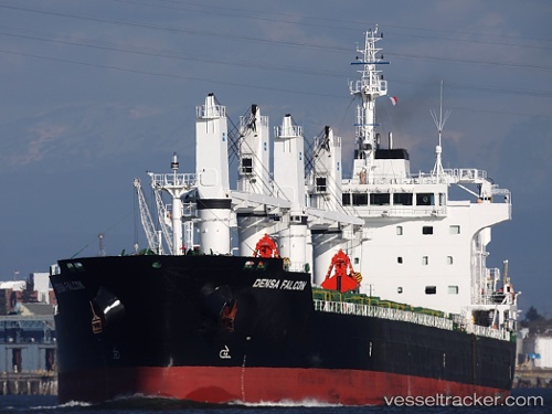 vessel Densa Falcon IMO: 9649081, Bulk Carrier
