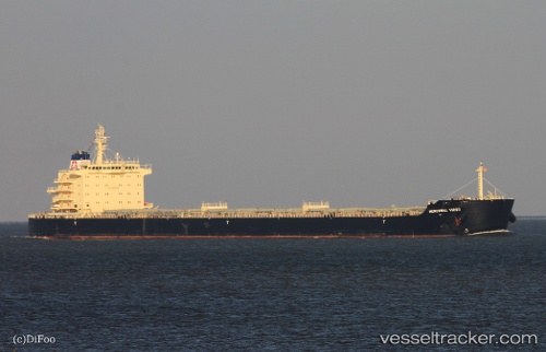vessel Mercurial Virgo IMO: 9651553, Bulk Carrier
