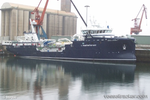 vessel Ronja Polaris IMO: 9657765, Fish Carrier
