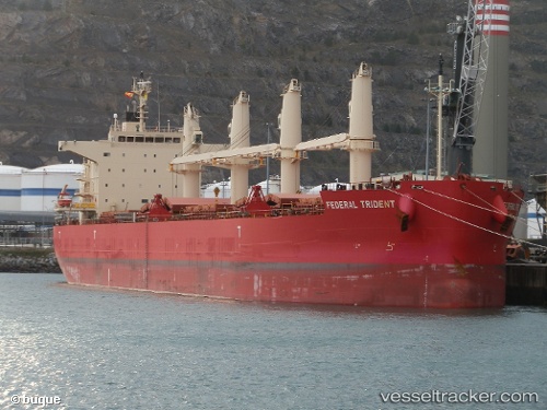 vessel Federal Trident IMO: 9658977, Bulk Carrier

