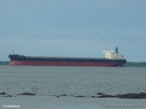 vessel Bulk Malaysia IMO: 9659842, Bulk Carrier
