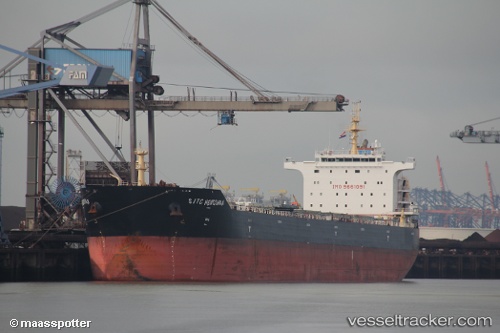 vessel XIN DONG GUAN 15 IMO: 9661091, Bulk Carrier