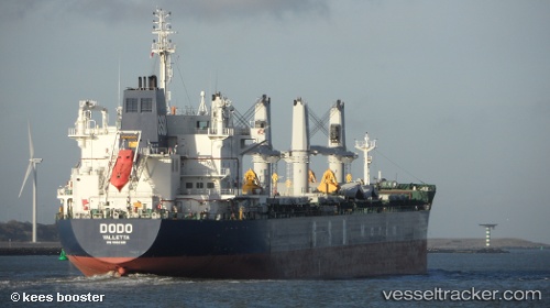 vessel Dodo IMO: 9662320, Bulk Carrier
