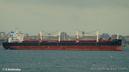vessel Clear Sky IMO: 9663245, Bulk Carrier
