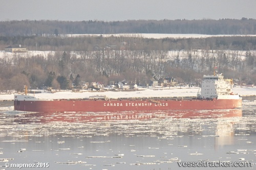 vessel Csl Welland IMO: 9665279, Bulk Carrier
