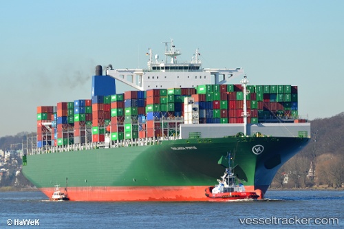 vessel EVER TOP IMO: 9665619, Container Ship