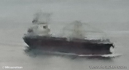 vessel Naruto IMO: 9665865, General Cargo Ship
