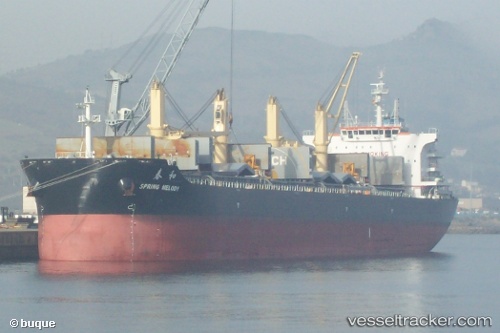 vessel Spring Melody IMO: 9666053, Bulk Carrier
