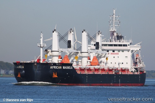 vessel African Magnolia IMO: 9666455, Bulk Carrier
