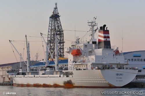 vessel Ibuki IMO: 9666481, Refrigerated Cargo Ship
