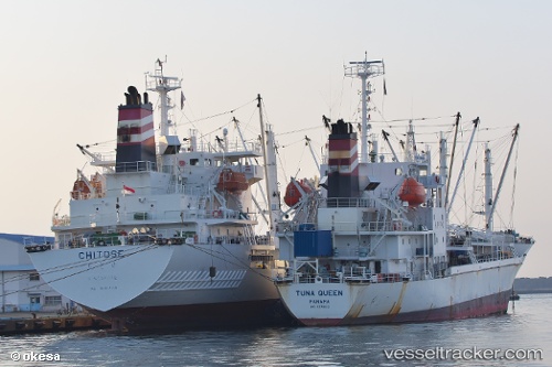 vessel Chitose IMO: 9666508, Refrigerated Cargo Ship
