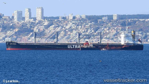 vessel Ultra Regina IMO: 9667435, Bulk Carrier
