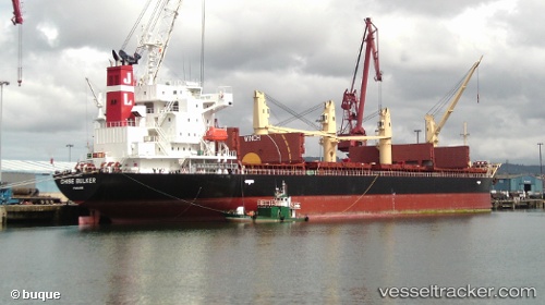 vessel Chise Bulker IMO: 9667722, Bulk Carrier
