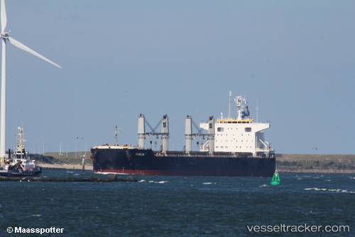 vessel MARLIN V IMO: 9668398, Bulk Carrier