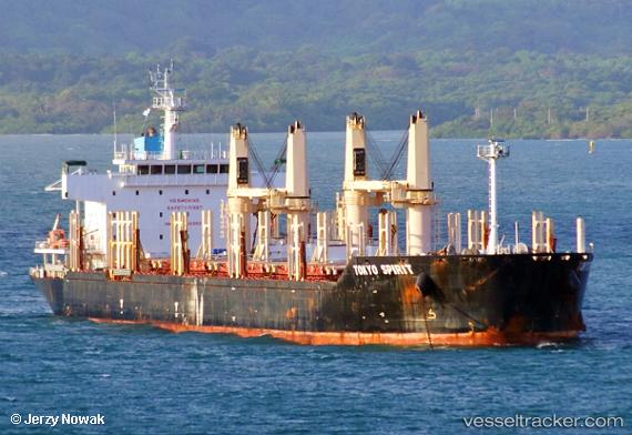 vessel Tokyo Spirit IMO: 9669627, Bulk Carrier
