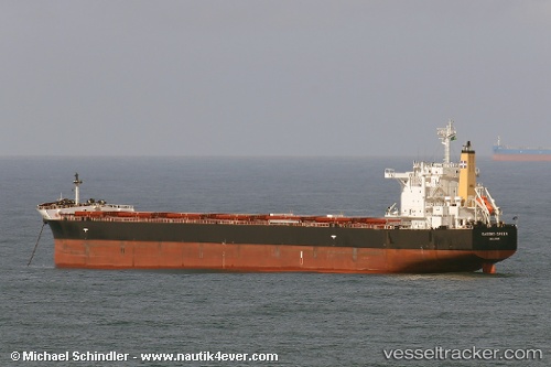 vessel Sasebo Green IMO: 9675468, Bulk Carrier
