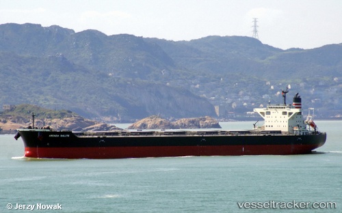vessel ARCADIA SALUTE IMO: 9675626, Bulk Carrier