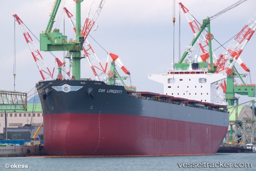 vessel Csk Longevity IMO: 9679799, Bulk Carrier
