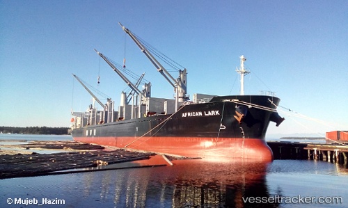 vessel African Lark IMO: 9682760, Bulk Carrier
