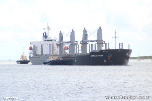 vessel African Dove IMO: 9682772, Bulk Carrier
