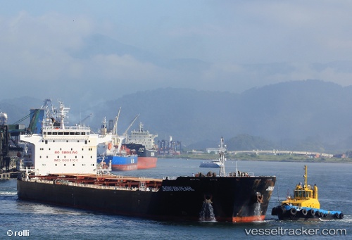 vessel Zhong Xin Pearl IMO: 9684134, Bulk Carrier
