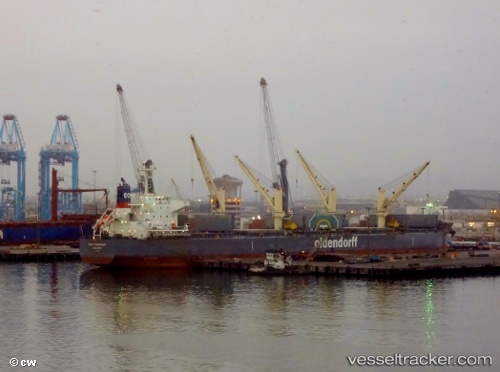 vessel Cl Edi IMO: 9684469, Bulk Carrier
