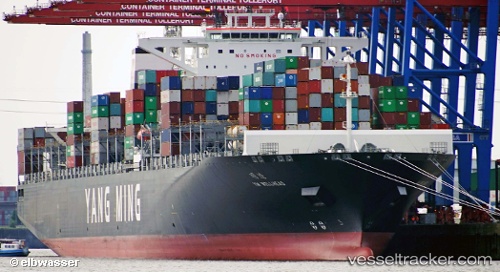 vessel Ym Wellhead IMO: 9684665, Container Ship
