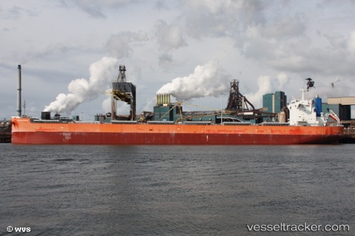 vessel Cepheus Ocean IMO: 9686273, Bulk Carrier
