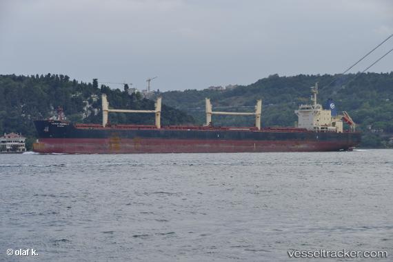 vessel Young Harmony IMO: 9686546, Bulk Carrier
