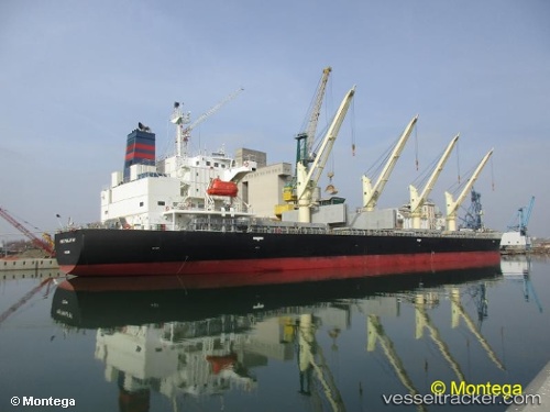 vessel '311001071' IMO: 9687148, 
