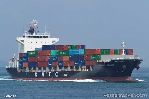 vessel Sunny Acacia IMO: 9689665, Container Ship
