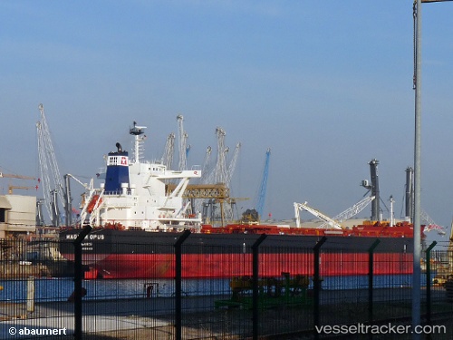 vessel Graecia Aeterna IMO: 9689835, Bulk Carrier
