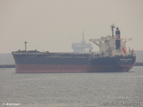 vessel Morning Salute IMO: 9691539, Bulk Carrier
