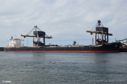 vessel True Cartier IMO: 9691553, Bulk Carrier
