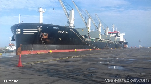 vessel Budva IMO: 9693501, Bulk Carrier
