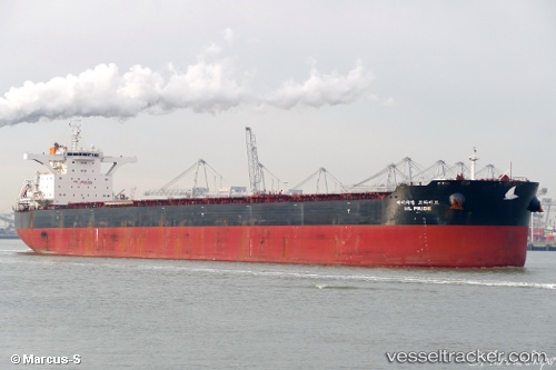 vessel TRUE CRUSADER IMO: 9693587, Bulk Carrier