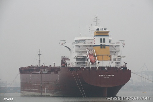 vessel HAMMONIA ATHENE IMO: 9693812, Chemical/Oil Products Tanker