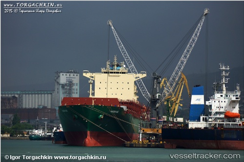 vessel Maersk Danube IMO: 9694579, Container Ship
