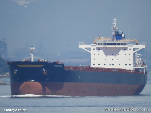 vessel Bregaglia IMO: 9694945, Bulk Carrier
