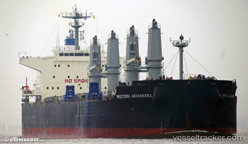 vessel Blue Akihabara IMO: 9696785, Bulk Carrier
