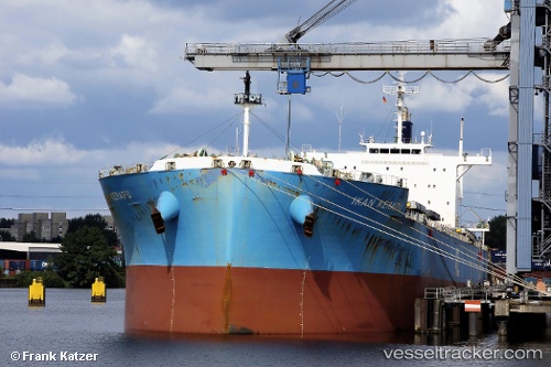 vessel Ikan Kerapu IMO: 9697959, Bulk Carrier
