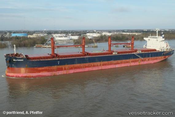 vessel BELFOREST IMO: 9698185, Bulk Carrier
