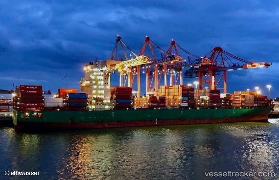 vessel Wide India IMO: 9698252, Container Ship
